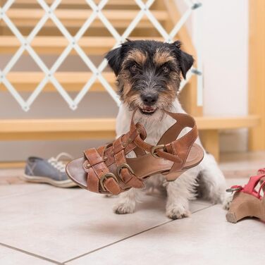 Захисне ворота для собак Relaxdays, розтягується до 130 см, висота 87,5-100 см, бамбук, білий (M)