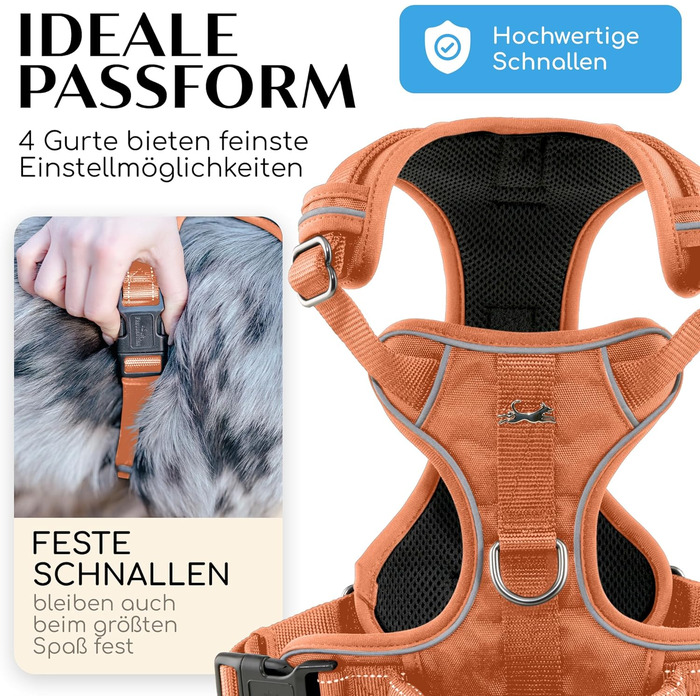 FREUDENTIER Dog Harness with Mesh Padding - Maximum Comfort, Bombproof Fit & Maximum Safety - Anti-Pull Front Ring - Chest Harness for Large, Medium and Small Dogs (Orange, XS)