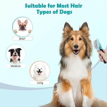 Щітка для грумінгу собак, видалення шерсті, для цуценят, Yorkie, Пуделя, Кішки, блакитна