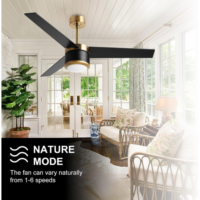 Стеляний вентилятор Reiga з підсвічуванням, 165 см, масивне дерево для зовнішнього використання IP44, регульована LED-лампа та DC-двигун, сумісний з Alexa & Google Home з пультом дистанційного керування (Чорний, Дерев'яний)