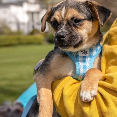 Шлейка для собак curli Clasp Air-Mesh, повідок M (Skyblue-Caro, XS)