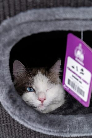 Кігтеточка Petrebels Dome, 80 см, чорна: стабільна та міцна