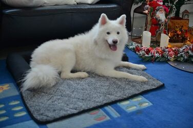 Крісло-ліжко для собак Raikou: зручне та захисне, 70x90 см, сірий меланж