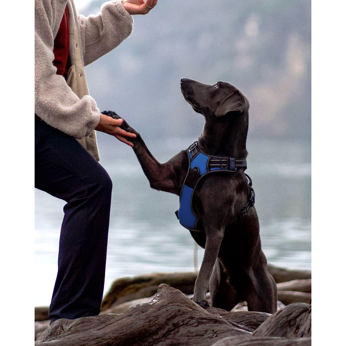 Шлейка для собак Joytale середнього розміру, світловідбиваюча, дихаюча, регульована з ручкою для тренувань, розмір M, Navy Blue (1 шт.)