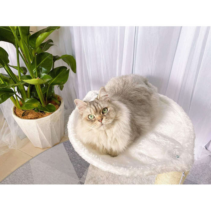 Дерев'яний когтеточка для котів Kratzbaum з будиночком, гамаком, ліжком та когтеточками, 41 x 48 x 41 см, білий, обмотаний сизалем, з іграшкою на шнурку