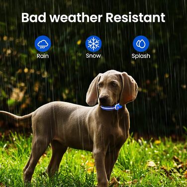 Світлодіодна нашийник для собак ASBRILL з підзарядкою, 7 кольорів RGB, 8 світлодіодів, регульований, вологостійкий, для малих, середніх та великих собак (S, Blue)