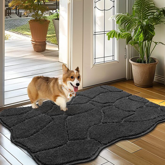 Килимок для дому 50x80 см, антиковзаюча, миється, для входу, тераси, саду, внутрішній килимок