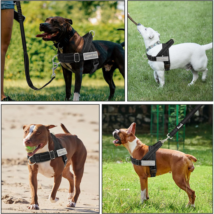 Нашийник для собак Eyein з повідком для великих та середніх собак, м'який, з 2 кліпсами для повідка, світловідбиваючий, легкий, анти-тяга, для прогулянок та тренувань, чорний, розмір L