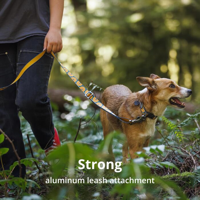 Нашийник для собак RUFFWEAR Crag, середній, 36-51 см, з алюмінієвим кільцем V, регульований, м'який, преміум-якість, для собак з можливістю підключення повідка