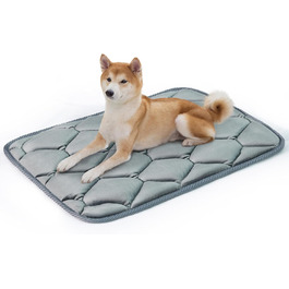 колір: сірий