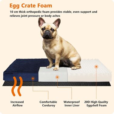 HMTOPE Orthopedic Dog Bed, 10cm Thick Dog Cushion for Medium and Large Dogs, Removable and Washable Dog Mat, Non-Slip Bottom, Waterproof Inner Lining, 112 cm, (L 120 x W 74 x H 10 cm, Navy Blue)