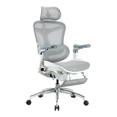 Ергономічне офісне крісло SIHOO Doro C300 Pro white з підставкою для ніг