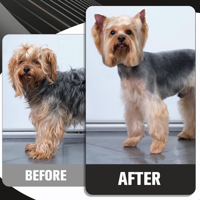 Набір професійних ножиць для грумінгу собак 5шт (прямі, вигнуті, для розрідження), чорний