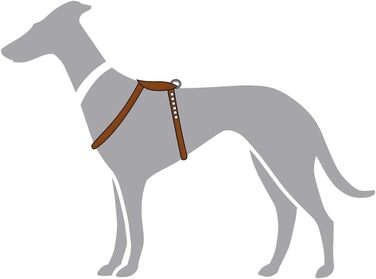 Нашийник для собак HUNTER Round & Soft Canadian UP, колір: Cognac, м'яка, еластична шкіра, прошитий по колу, щадний до хутра, екологічний, Made in Germany, розмір: S/1 S/1 cognac