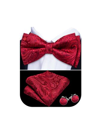 Набір краваток-метеликів, нагрудних хустинок та застібок для манжет Barry.Wang для весіль та урочистих заходів (шовк з візерунком павазьок)