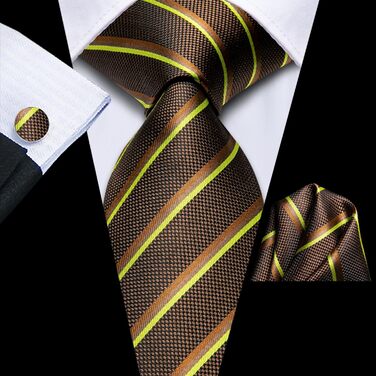 Чоловіча краватка Hi-Tie з краватковою брошюрою та краватковою застібкою (коричневий смугастий)