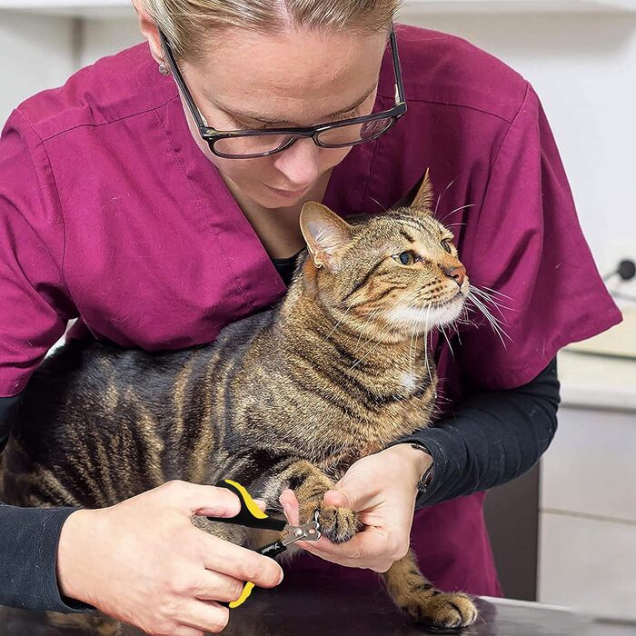 Професійні ножиці для обрізання кігтів собак та котів Candure з пилочкою, нержавіюча сталь, безпечний захист, 15 см