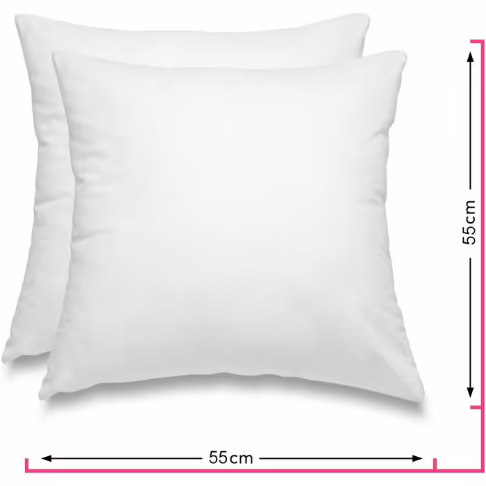 wometo 2er Set Feather Pillow 100% Feathers 55x55-750g oekoTex Pillow Head Pillow Filling Pillow Cover Cotton white/Inner Pillow/Pillow Filling/Sleeping Pillow (2 pieces) 55 x 55 cm