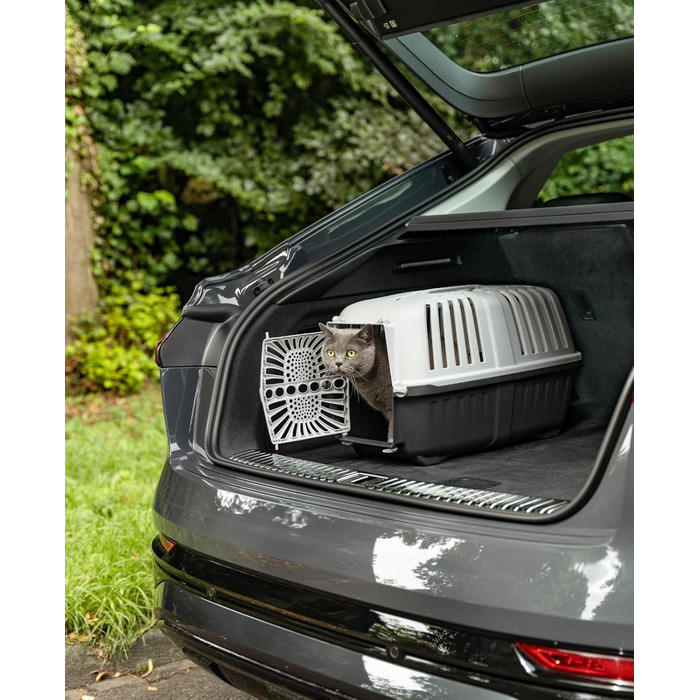 Транспортний бокс для собак Lionto, 55x36x36 см, з ручкою, для собак та котів, до 15 кг, блакитний