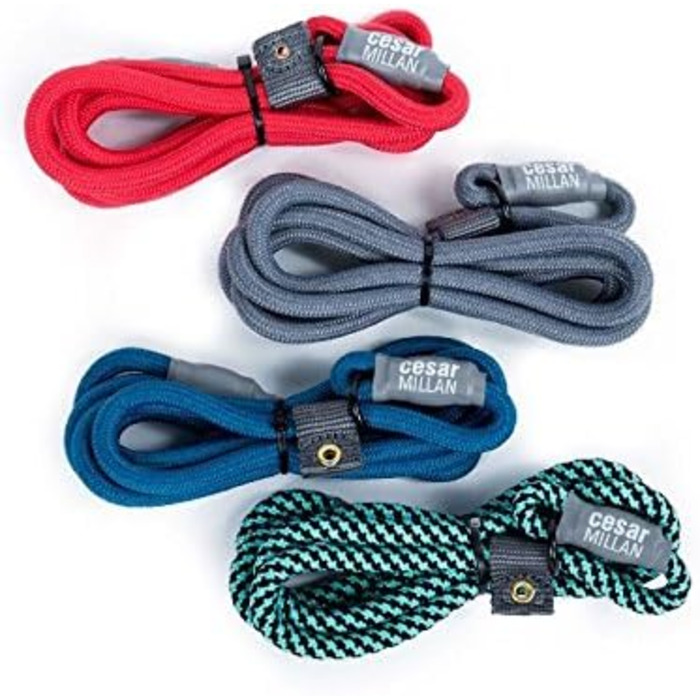 Leine - Training lead for dogs - 2in1 dog collar and lead - Slip lead - Retriever lead with integrated collar (Small/Medium - Color: ) - Length 120 cm, Diameter 1 cm (S/M, Black)