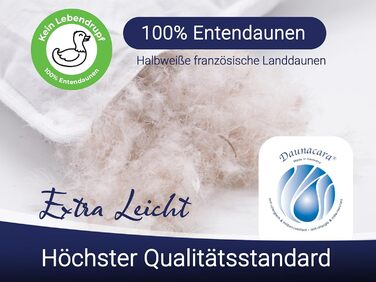 ZOLLNER 2-Pack Deluxe Down Pillow - Made in Germany – Suitable for allergy sufferers – Cover made of high-quality Mako cotton - washable up to 60°C - 60x80 cm - Hotel quality 60 x 80 cm 2-pack
