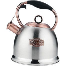 Чайник-свисток 3л з нержавіючої сталі, індукційний, з термостійкою ручкою (срібний)