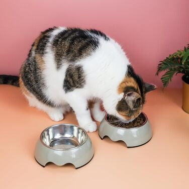 Набір мисок для собак та котів ne&no® Futternapf (2 шт.) середнього розміру (350 мл) | Нековзні миски для собак та котів | Миска для собак (M, Taupe)