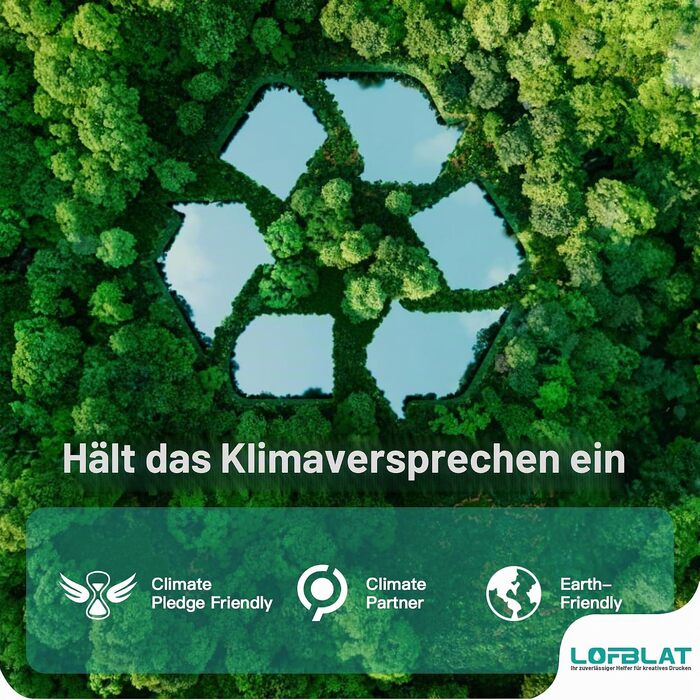 Комплект картриджів LOFBLAT 303XL сумісні з принтерами HP 303 (Multipack)