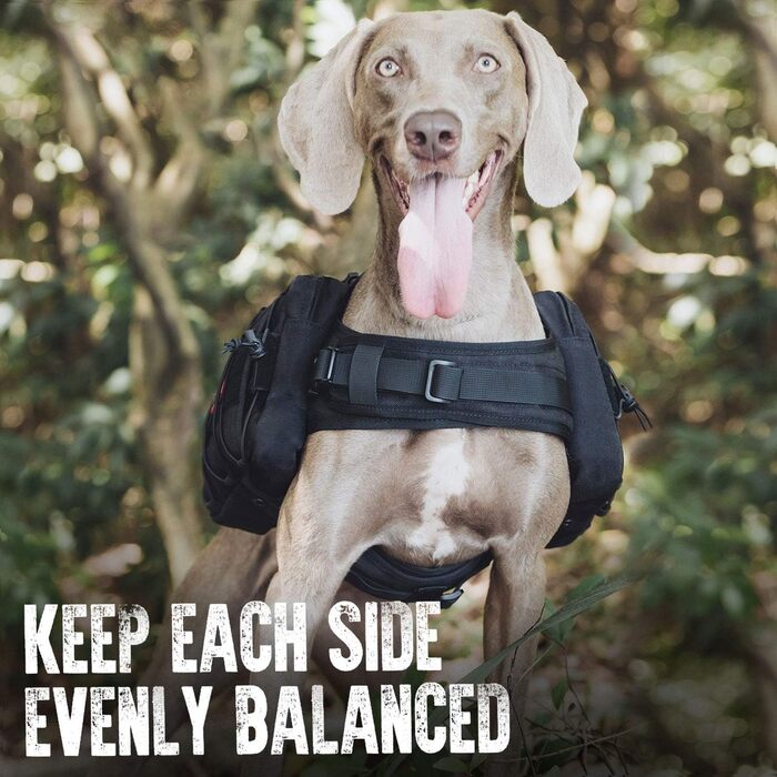 OneTigris Mammoth Hunderucksack 2.0: Рюкзак для собак середніх та великих порід (L, Чорний) 53 x 5 x 17 см