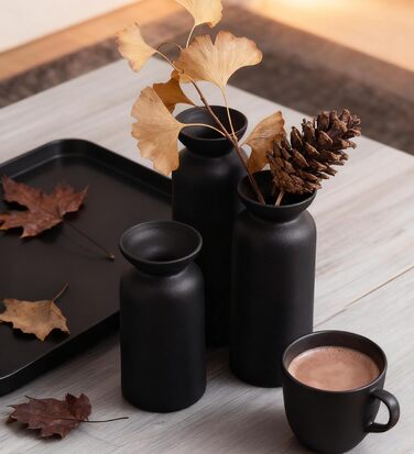 Керамічні вази 3 шт., Сучасний мінімалізм, Декор для дому, Вази для пампасной трави, Вітальня (12 Чорний)