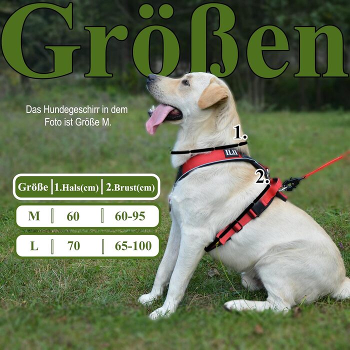 Нашийник для собак III Y - міцний, елегантний та комфортний. Унікальний дизайн для середніх та великих собак. Червоний, L
