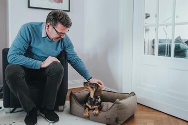 Софа для собак HUNTER Livingston, лежанка для собак, тканина, класичний дизайн, S, коричневий, 60x43x16 см