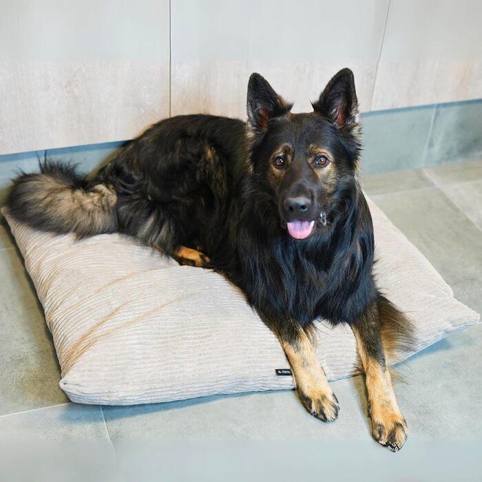 4L Textil ZOE - М'яке собаче ліжко з тканини Corduroy, 60x50 см, бежеве (смужки)