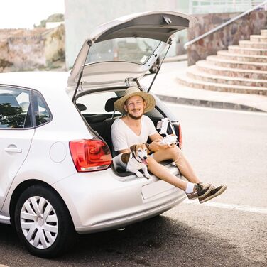 Транспортна переноска Nomade 2 для собак та котів - 55x36x35 см, до 8 кг, міцна, поліпропілен, зелений лінден