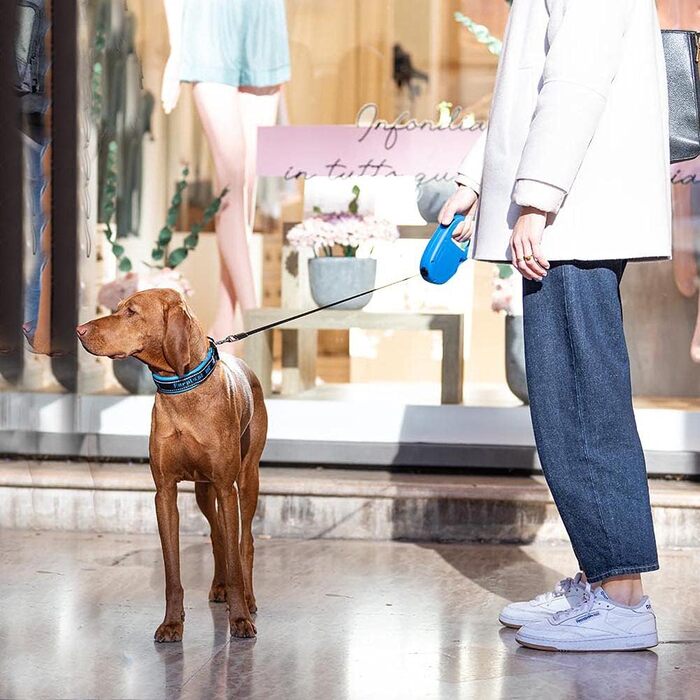 Рулетка для собак Ferplast Flippy ONE, червона, до 25 кг, 5 м