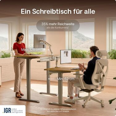 Електричний регульований стіл Desktronic HomePro 160x80 см – з двома моторами, сенсорним керуванням та USB-портами (3.6 Grey + Solid Oak)