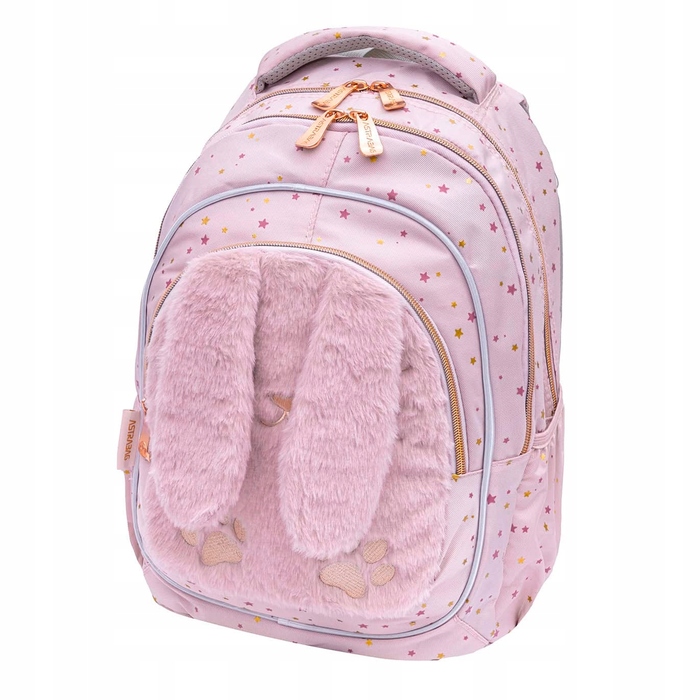 Багатокамерний шкільний рюкзак AstraBag, рожевий, 20 л