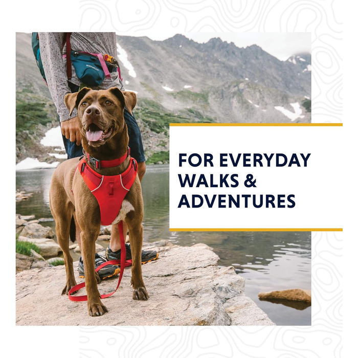 Нашийник для собак RUFFWEAR Front Range, міцний матеріал Tubelok, карабін з алюмінію, зручна застібка, яскравий колір Campfire Orange, розмір L (51-66 см)