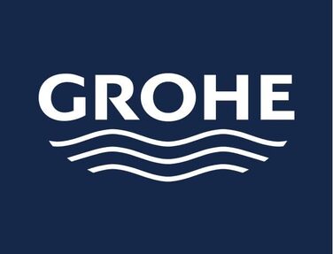 GROHE Euphoria 110 Massage Handshower (3 spray patterns, Anti-Limescale System, with Spray Dimmer), Chrome, 27221000 (duo)