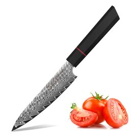 Ніж кухонний японський Kiritsuke Damast Plys 20 см, сталь VG10, 67 шарів, рукоятка G10, подарункова коробка