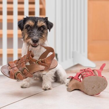 Захисне ворота для собак Relaxdays, 70x154 см, 3 панелі, складане, з ніжками, біле, MDF