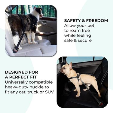 Ремінь безпеки для собак у машину – набір 2 шт. з дорожнім мискою, еластичним гумовим реміннем, регульований, з поворотним механізмом 360° та функцією захисту від ударів для безпечної поїздки