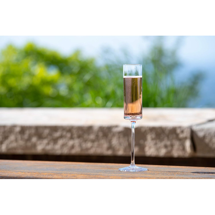 Набір келихів для шампанського Aspen & Birch (6 шт.) - келихи для мімози, 100% без свинцю, 280 мл, ручної роботи