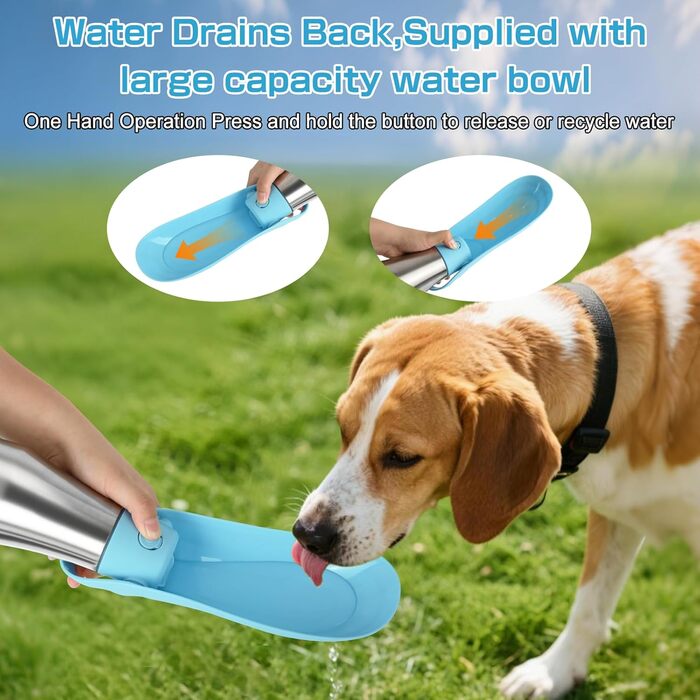 Водяна пляшка для собак на прогулянці - не протікає, з нержавіючої сталі, подвійні стінки, вакуумна ізоляція, 750 мл (Блакитна)