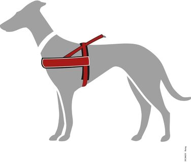 Шлейка для собак HUNTER RACING, чорна, м'яка, світловідбиваюча, регульована, розмір M-L