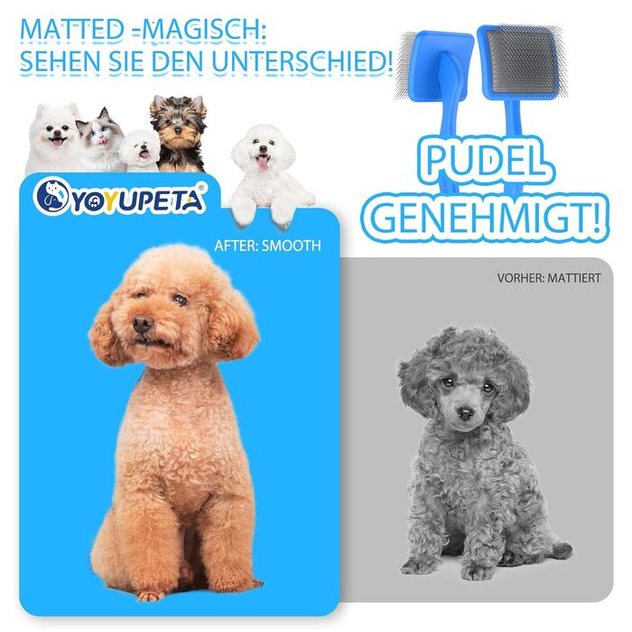 Набір для грумінгу собак великих порід Slicker Bürste: щітка, гребінець для підшерстя та гребінець з нержавіючої сталі. Підходить для собак та котів з підшерстям (голден ретрівер, австралійська вівчарка). Колір: блакитний