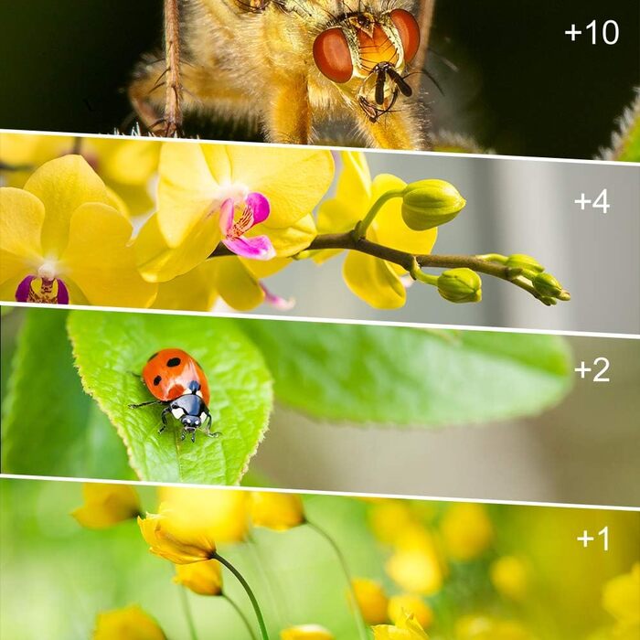 Набір фільтрів макрозйомки Close-up 49mm (x1, x2, x4, x10) для Canon, Nikon, Sony, Pentax, Olympus, Fuji DSLR камер