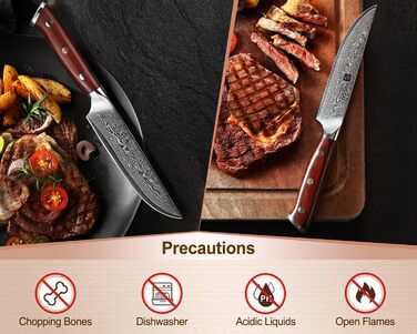 XINZUO Damascus Chef's Knife Set - 67 Layer High Carbon Steel, Professional Gyuto Knife with Rosewood Handle (5-Piece Steak Knife Set)