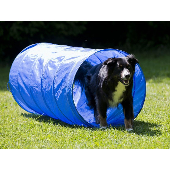 Набір для дресирування собак, Агіліті, Стартовий набір: стійки та тунель