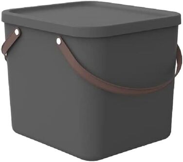 Rotho Albula Storage Box 40l with Lid, Plastic (Recycled PP), Green, 40l (40.0 x 40.0 x 34.0 cm) (Anthracite)